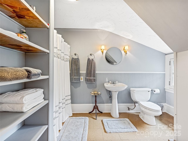 bathroom with toilet and vaulted ceiling