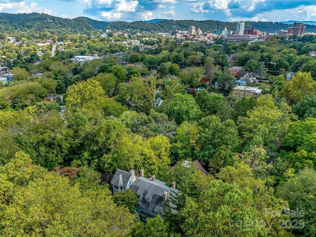 birds eye view of property featuring a mountain view