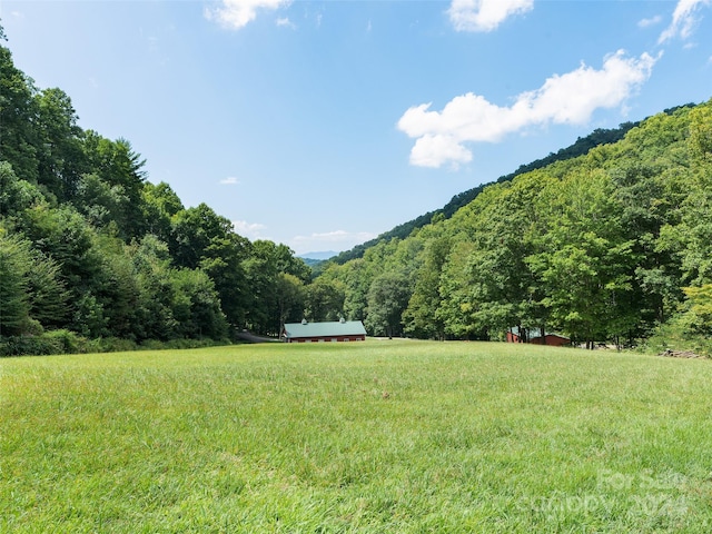 view of yard with a rural view