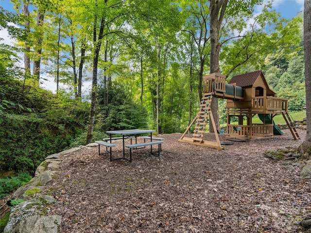 view of jungle gym