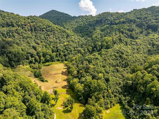 drone / aerial view with a mountain view