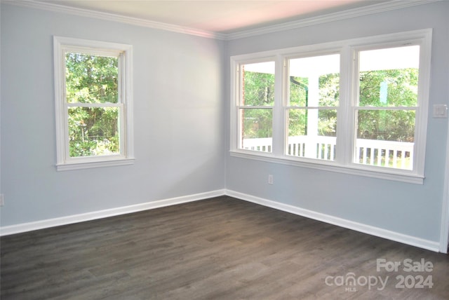 empty room featuring a wealth of natural light and dark hardwood / wood-style floors