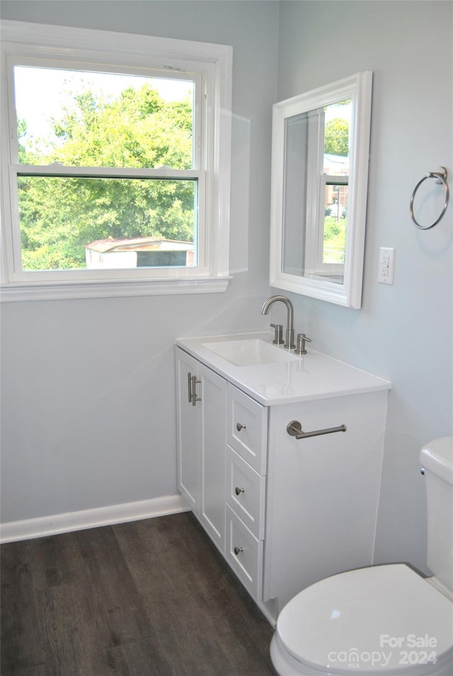 bathroom featuring vanity, toilet, and wood-type flooring