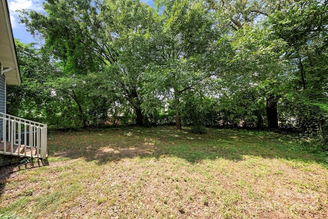 225 Flint St, Charlotte, NC 28216 - view of yard
