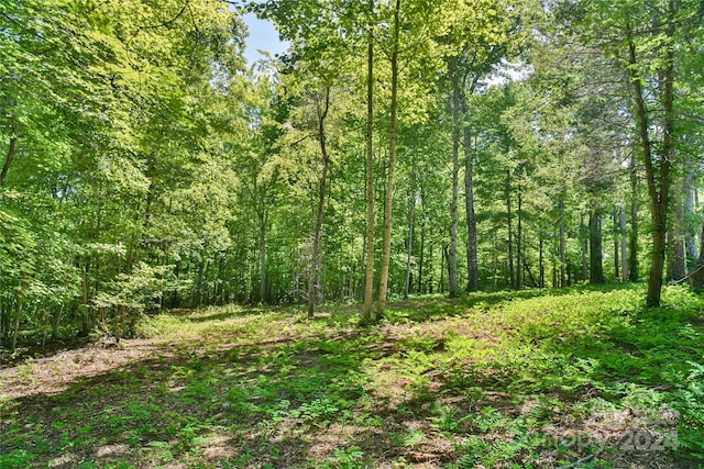 view of local wilderness