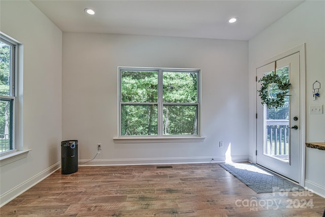 doorway to outside featuring plenty of natural light and wood-type flooring