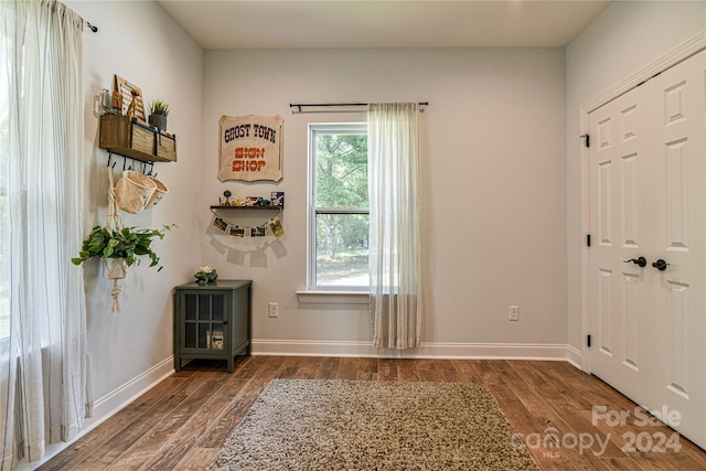 entrance foyer featuring dark wood-type flooring