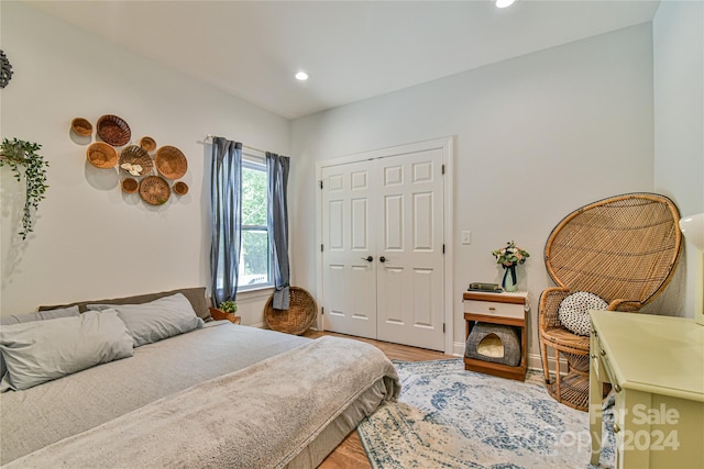 bedroom with a closet and wood-type flooring