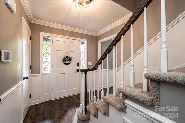 foyer with crown molding and dark hardwood / wood-style flooring