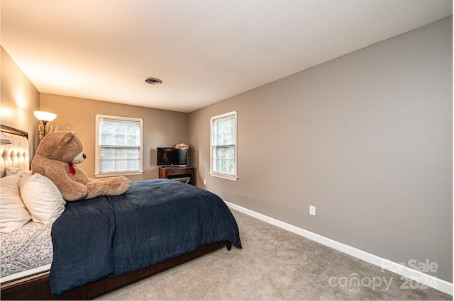 bedroom with carpet