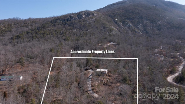 151 Cold Creek Ln Unit 4, Marion NC, 28752 land for sale