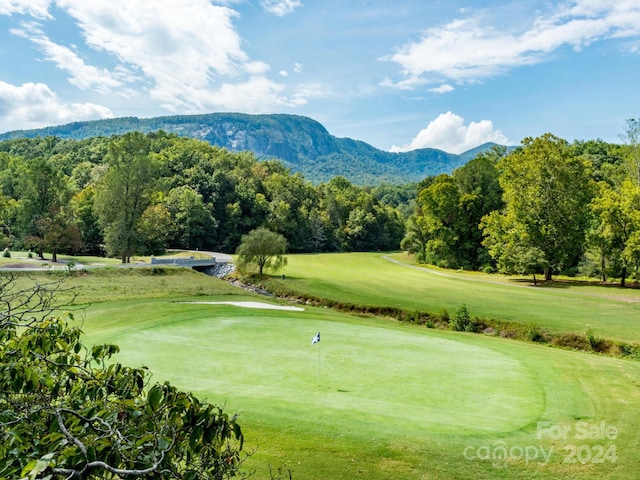 view of community featuring a mountain view and a yard