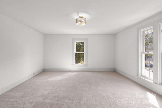 unfurnished room featuring light colored carpet, ornamental molding, and a healthy amount of sunlight