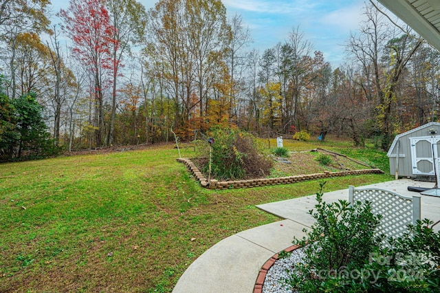 view of yard featuring a storage shed