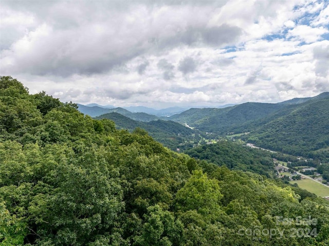 00 Moody Farm Rd, Maggie Valley, NC 28751