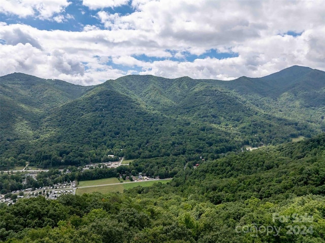 00 Moody Farm Rd, Maggie Valley, NC 28751