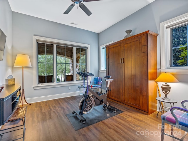22 Foxbridge Way, Arden, NC 28704 - workout room with wood finished floors, ceiling fan, and baseboards