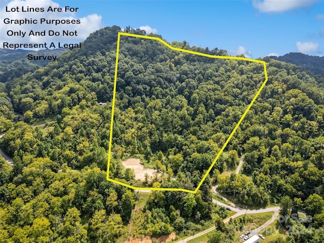 00 Glades Rd, Clyde, NC 28721 - photo 1