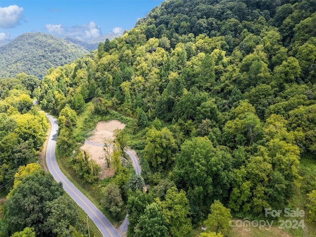 00 Glades Rd, Clyde, NC 28721 - photo 2