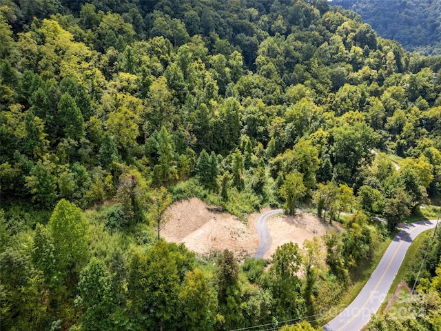 00 Glades Rd, Clyde, NC 28721 - photo 3