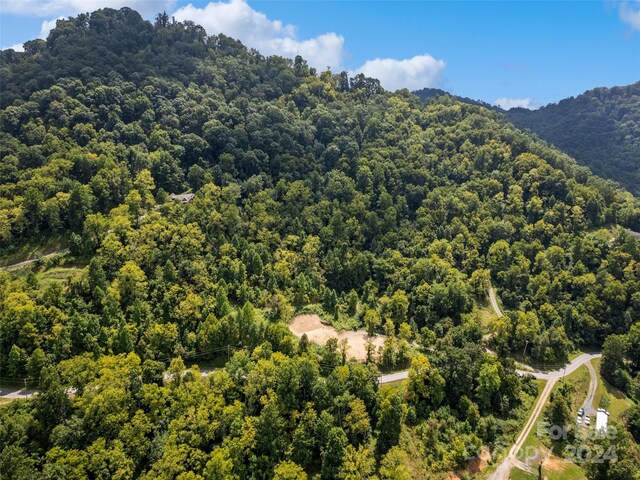 00 Glades Rd, Clyde, NC 28721 - photo 5
