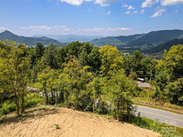 00 Glades Rd, Clyde, NC 28721 - photo 6
