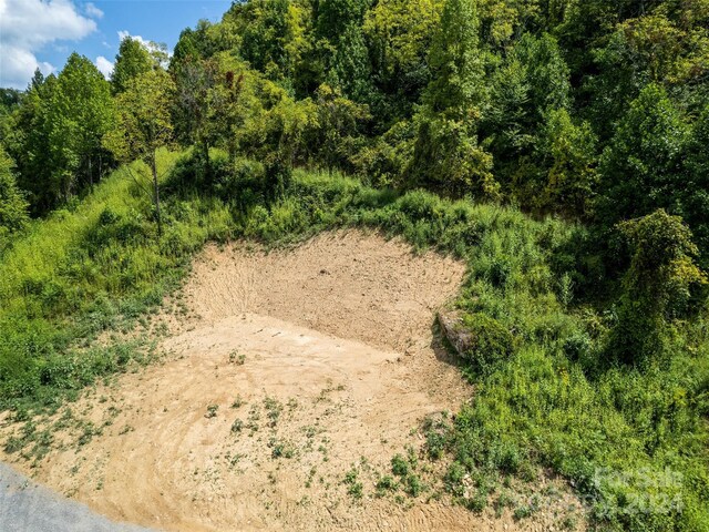 00 Glades Rd, Clyde, NC 28721 - photo 7