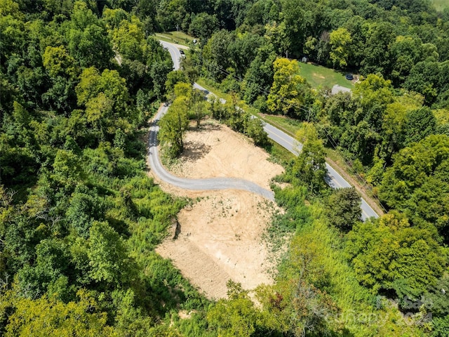 00 Glades Rd, Clyde, NC 28721 - photo 8
