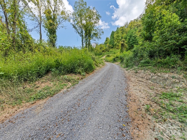 00 Glades Rd, Clyde, NC 28721 - photo 10
