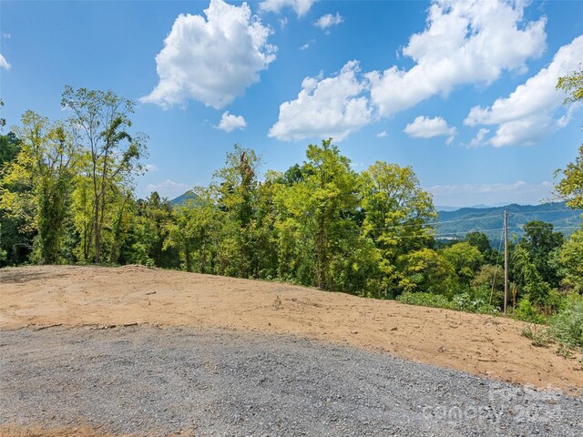 00 Glades Rd, Clyde, NC 28721 - photo 14