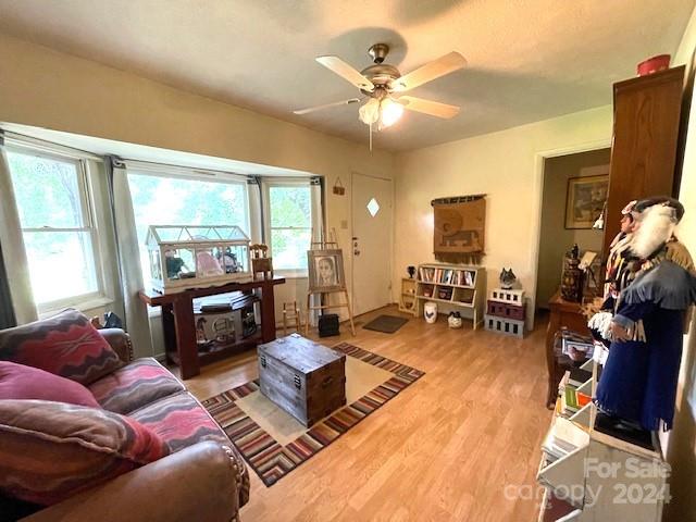 living room with hardwood / wood-style flooring and ceiling fan