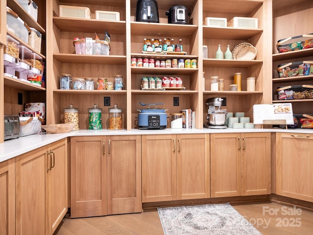 view of pantry