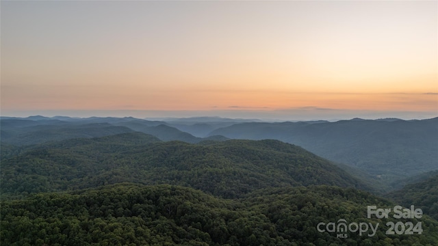 mountain view featuring a view of trees
