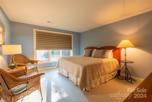 bedroom featuring carpet floors