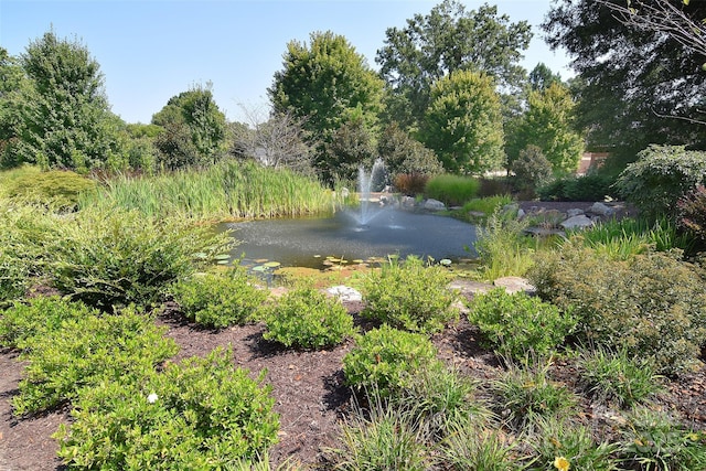 view of yard with a water view