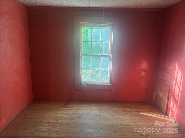 unfurnished room with light hardwood / wood-style floors