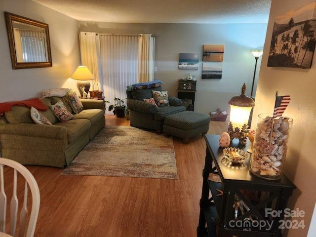 living room with hardwood / wood-style floors