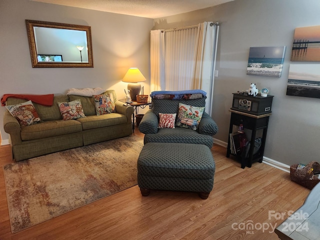 living room featuring light hardwood / wood-style floors