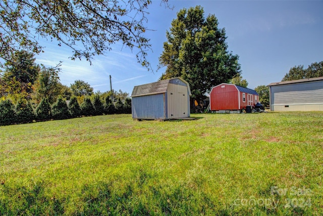 view of yard featuring a storage shed