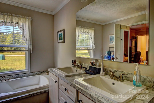 bathroom featuring vanity, ornamental molding, and a healthy amount of sunlight