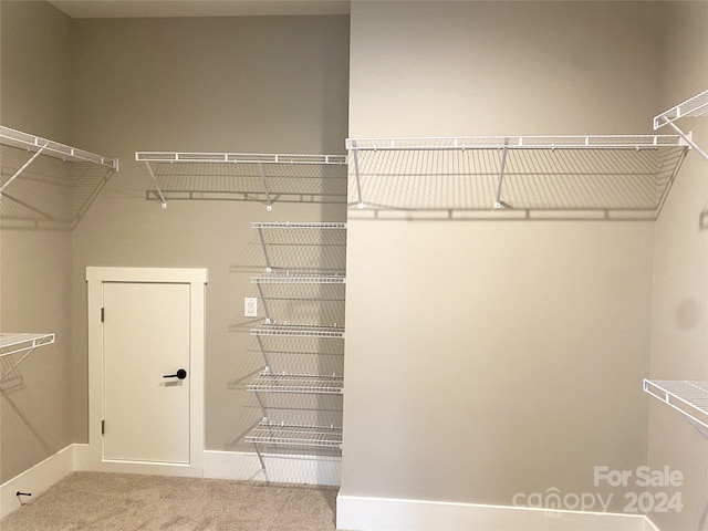 spacious closet with carpet