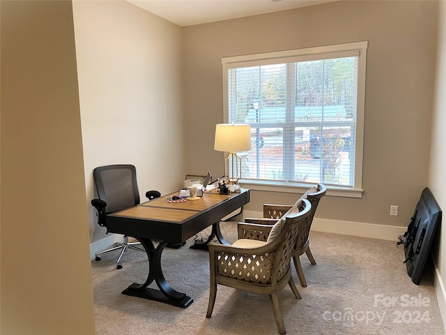 carpeted office with a wealth of natural light