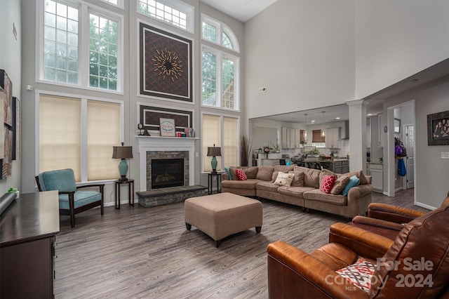 living room featuring a high ceiling, hardwood / wood-style flooring, and a stone fireplace