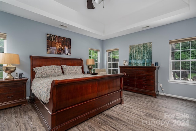 bedroom with a raised ceiling, multiple windows, ceiling fan, and hardwood / wood-style floors