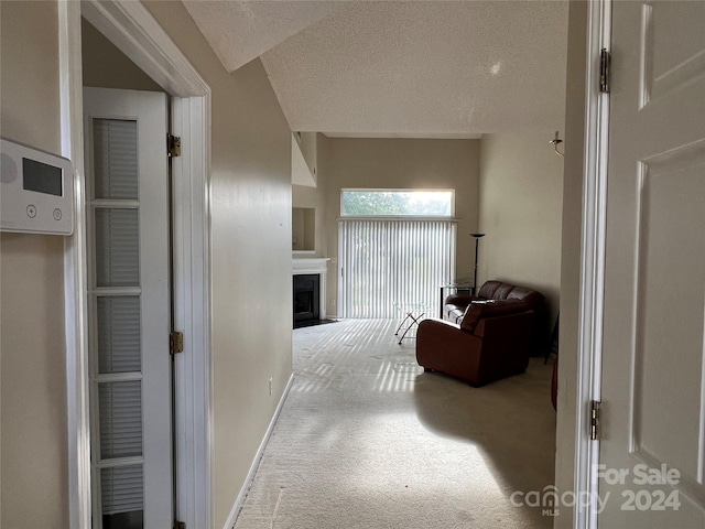 hallway featuring carpet and a textured ceiling