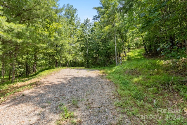 Listing photo 3 for 22 Fern Gully, Marshall NC 28753