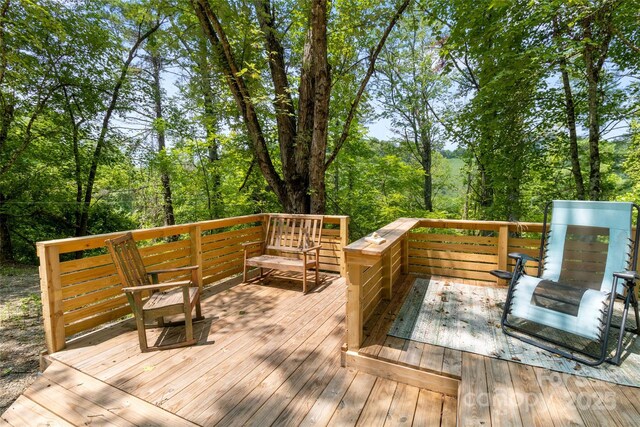 22 Fern Gully, Marshall, NC 28753 - photo 12