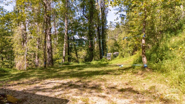22 Fern Gully, Marshall, NC 28753 - photo 14