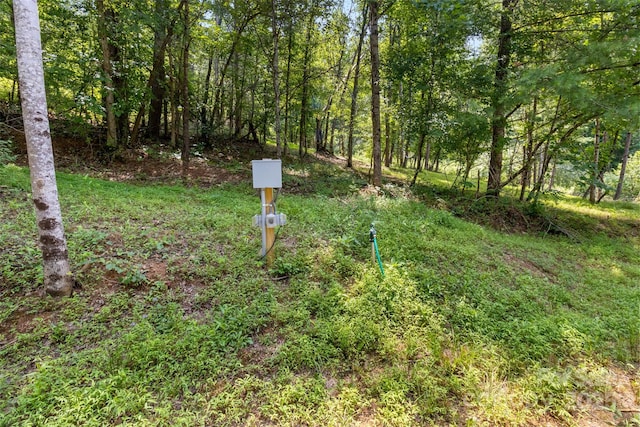 22 Fern Gully, Marshall, NC 28753 - photo 16