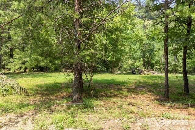 22 Fern Gully, Marshall, NC 28753 - photo 18